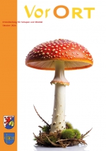 Oktober 2024