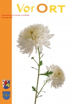 34  -  November 2025